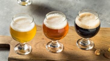 top 30 breweries in tennessee