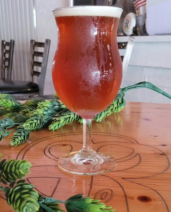 The Top 30 Breweries in Florida 5 Rapp Brewing Company